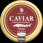 Cavipoint Baerii Premium sturgeon caviar 50 g tin – Zboží Dáma