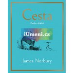 Cesta: Panda a dráček - James Norbury – Hledejceny.cz