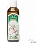 Serafin byliny Rakytník tinktura z bylin 50 ml – Hledejceny.cz