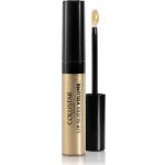 Collistar Lip Gloss Volume lesk na rty pro větší objem 110 Golden Sunset 7 ml – Zboží Dáma