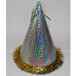 Ptákoviny CB Stříbrná párty čepička zlaté třásně – Sleviste.cz