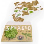 Lesní svět Papírové tripexeso naše dřeviny – Hledejceny.cz