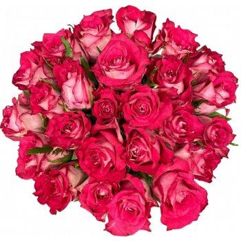 Kytice 25 růžových růží CROSSFIRE 60 cm