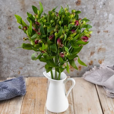 Alstromerie svazek, 10 ks – Zboží Mobilmania