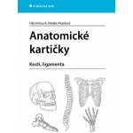Anatomické kartičky – Zboží Dáma