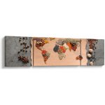 Obraz - Koření světa, třídílný 170x50 cm – Hledejceny.cz