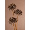 Květina Paramit DRY MINI ALLIUM Umělá květina šedá 60 cm