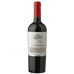 Casa Del Bosque Reserva Cabernet Sauvignon 2022 13,8% 0,75 l (holá láhev) – Hledejceny.cz