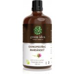 Opvet Green idea Ostropestřec bylinný lihový extrakt 100 ml – Hledejceny.cz