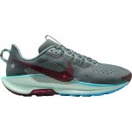 Nike Pegasus Trail 5 DV3864-302 – Zboží Mobilmania