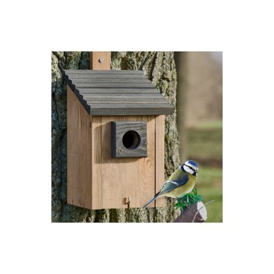 Braun Grau Ptačí budka 334 – Hledejceny.cz