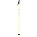Blizzard Race Junior Ski Poles 19/2020 – Zboží Mobilmania
