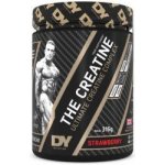 Dorian Yates THE CREATINE 316 g – Hledejceny.cz