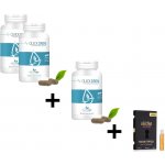 Healthy Way Quick Dren 2+1 60 kapslí – Hledejceny.cz