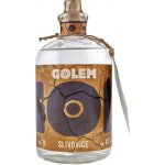 Golem Slivovice 40% 1 l (holá láhev) – Zboží Dáma