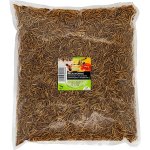 UGF sušený moučný červ 1 kg – Zboží Dáma