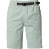 Pánské kraťasy a šortky Fox tech bravo cargo short eucalyptus