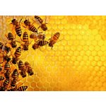 RAVENSBURGER Challenge: Včely na medové plástvi 1000 dílků – Zboží Dáma