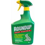 ROUNDUP Herbicid FAST postřik pro chodníky a cestičky 1 l – Sleviste.cz