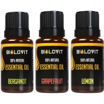 Bilovit Sada esenciálních olejů Deprese 3 x 10 ml – Hledejceny.cz