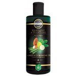Green idea Wellness Bergamot a citronová tráva v mandlovém oleji koupelový a tělový olej 200 ml – Hledejceny.cz