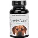 Vitamíny pro psa M+H VET AminAvast dog 60 tbl
