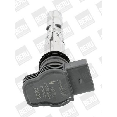 Zapalovací cívka BorgWarner (BERU) ZSE043 – Hledejceny.cz