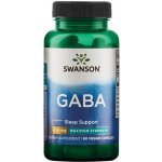Swanson GABA Kyselina Gama Aminomáselná 750 mg 60 kapslí – Hledejceny.cz