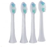 Orava Stomafresh 4 ks – Sleviste.cz