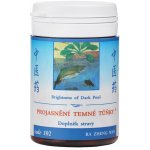 TCM Herbs Projasnění temné tůňky 100 tablet – Hledejceny.cz