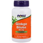 Now Foods Ginkgo Biloba 60 mg 120 kapslí – Hledejceny.cz