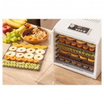 Sencor SFD 6500 – Zboží Dáma