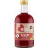 Šťáva BioToday Ginger prémiový zázvorový nápoj s brusinkami 0,5 l