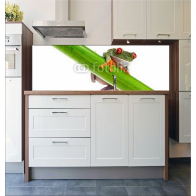 WEBLUX Fototapeta do kuchyně fólie Green Frog with red eye. - 45099482 Zelená žába s červeným okem. rozměry 180 x 60 cm – Zboží Mobilmania