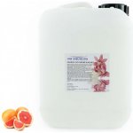 PM Aqualog esence do parních kabin grapefruit 825-005/D 5 l – Hledejceny.cz
