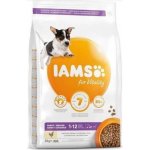 Iams Dog Puppy Small & Medium s kuřecím masem 12 kg – Hledejceny.cz