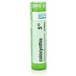 COLOCYNTHIS POR 5CH GRA 1X4G – Hledejceny.cz