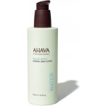 Ahava Deadsea Water minerální tělové mléko 250 ml – Zbozi.Blesk.cz