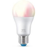 Philips WiZ Chytrá LED žárovka RGBW stmívatelná A60 E27/8W/230V 2200-6500K – Zboží Živě