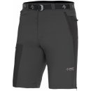 Direct Alpine Vulcan short 2.0 anthracite