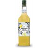 Šťáva Sirup GIFFARD LEMONADE 1L