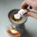The Candle Brand Vonný vosk do aromalampy Pick Patchouli with Lily 10 g – Zboží Dáma