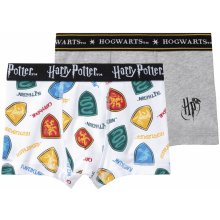 Chlapecké boxerky Harry Potter, 2 kusy bílá / navy modrá