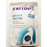 Kattovit Gastro kachna rýže 85 g – Zbozi.Blesk.cz