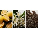 Dolce & Gabbana The One Intense parfémovaná voda pánská 100 ml – Zbozi.Blesk.cz