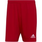 adidas Entrada 22 Shorts – Zboží Dáma