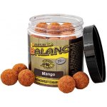 Carp Servis Václavík Boilies Balanc 120 g 20 mm Mango – Sleviste.cz