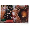 Autovýbava Record vánoční plastová podložka pod misky 42 x 30 cm pro psy hnědý pes