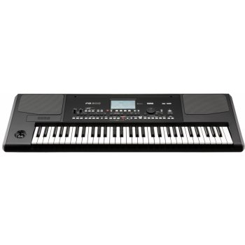 Korg PA300