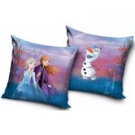 Carbotex Dívčí polštář Ledové království Frozen II 40x40 – Zboží Dáma